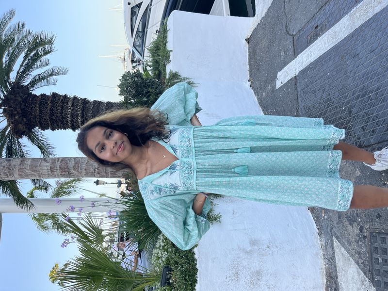 ANIKA DRESS